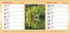 Stoln kalend Toulky krajinou 2013 strana 21